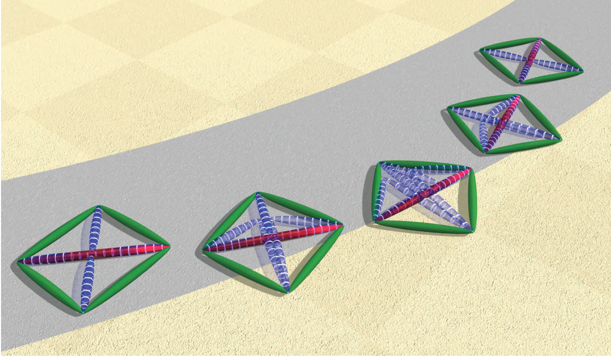 Simulación de vida artificial: organismos evolucionando como path-followers